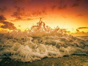 Sei la forra del mare Poesia di Francesco Nigri